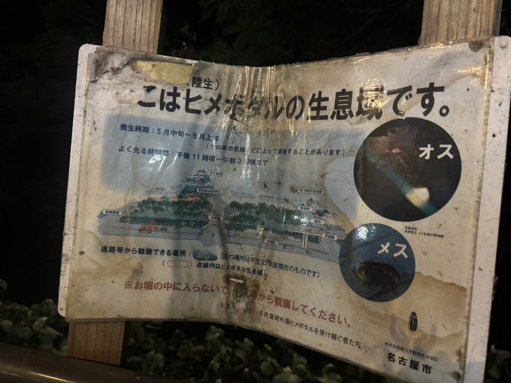 名古屋城のヒメホタル情報